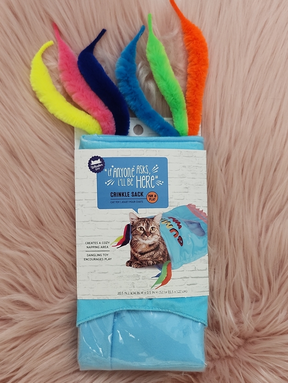 Brand New WHISKER CITY CRINKLE SACK PAW & PLAY CAT TOY